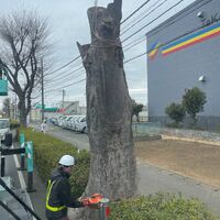 画像1428：施工事例