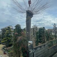 画像1447：施工事例