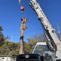画像1500：施工事例