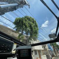 画像1546：施工事例