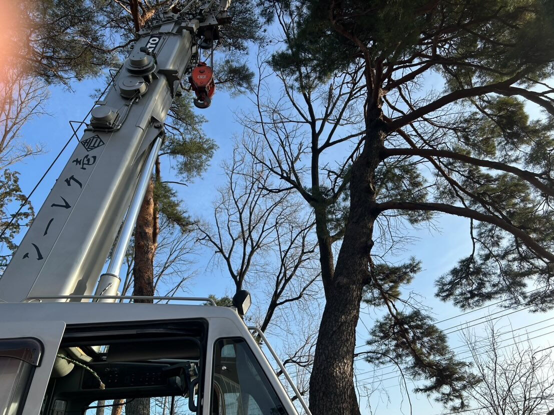 モルタル、鉄板、型枠、鉄筋、足場、防水材、屋根材、伐採、木造