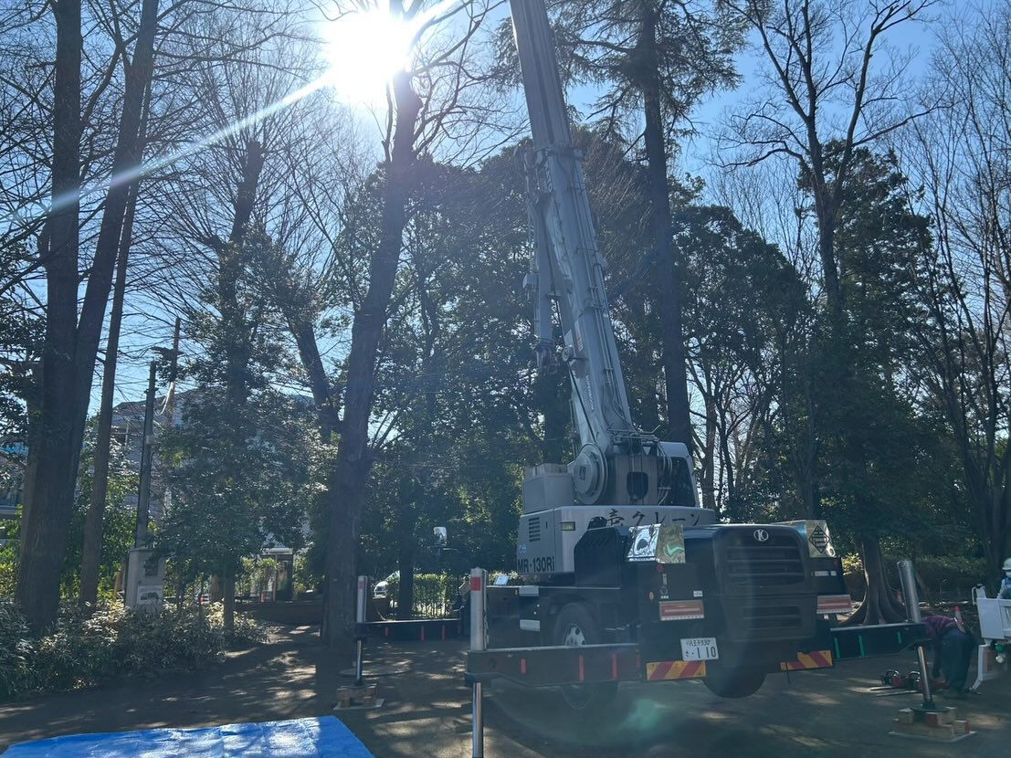 伐採作業、プレハブ建て方